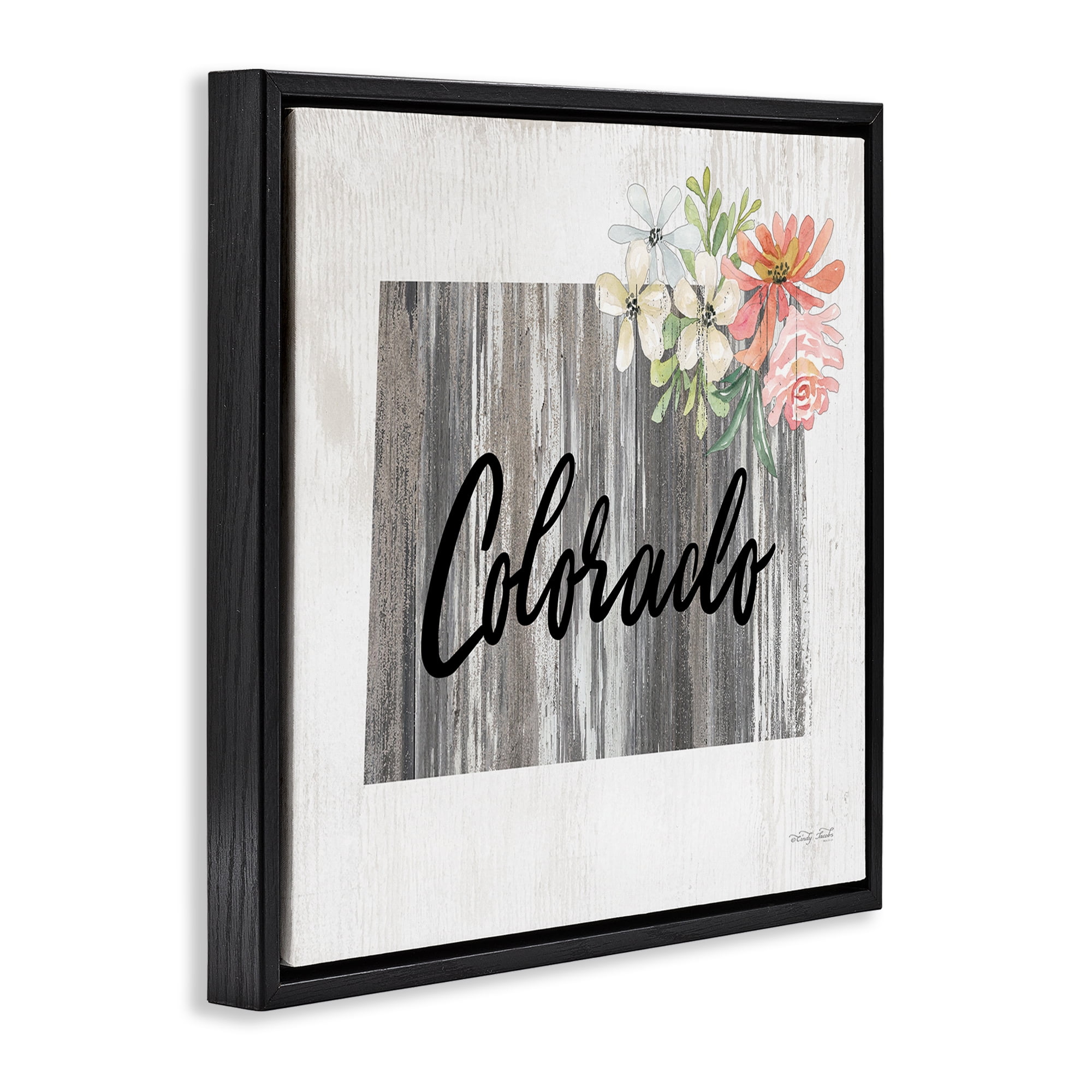 Stupell Industries Shabby Chic Colorado Botanical & Floral Painting Black Floater Framed Canvas Art Print Wall Art, 25 x 25