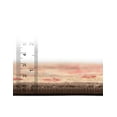 thumbnail image 5 of Rugs.com Chelsea Collection Rug – 3' 3 x 5' 3 Multi Medium Rug Perfect For Entryways, Kitchens, Breakfast Nooks, Accent Pieces, 5 of 9