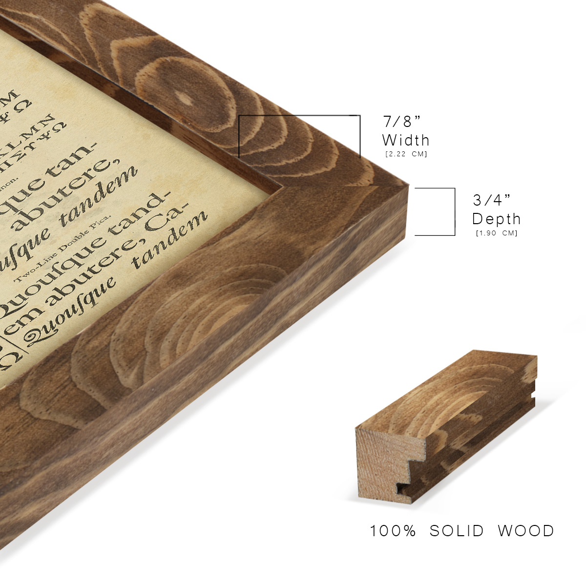 Encyclopediae VI -Framed Print w/glass-Walnut