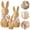 2Pcs Resin Easter Bunny Under $5 a1, variant on Yannianjz Resin Easter Bunny Figurines, Rattan Effect Wicker Rabbit Statue, 7.8 Inch Large Bunny for Home Decor, Spring Table Centerpiece, Garden Ornament for Patio