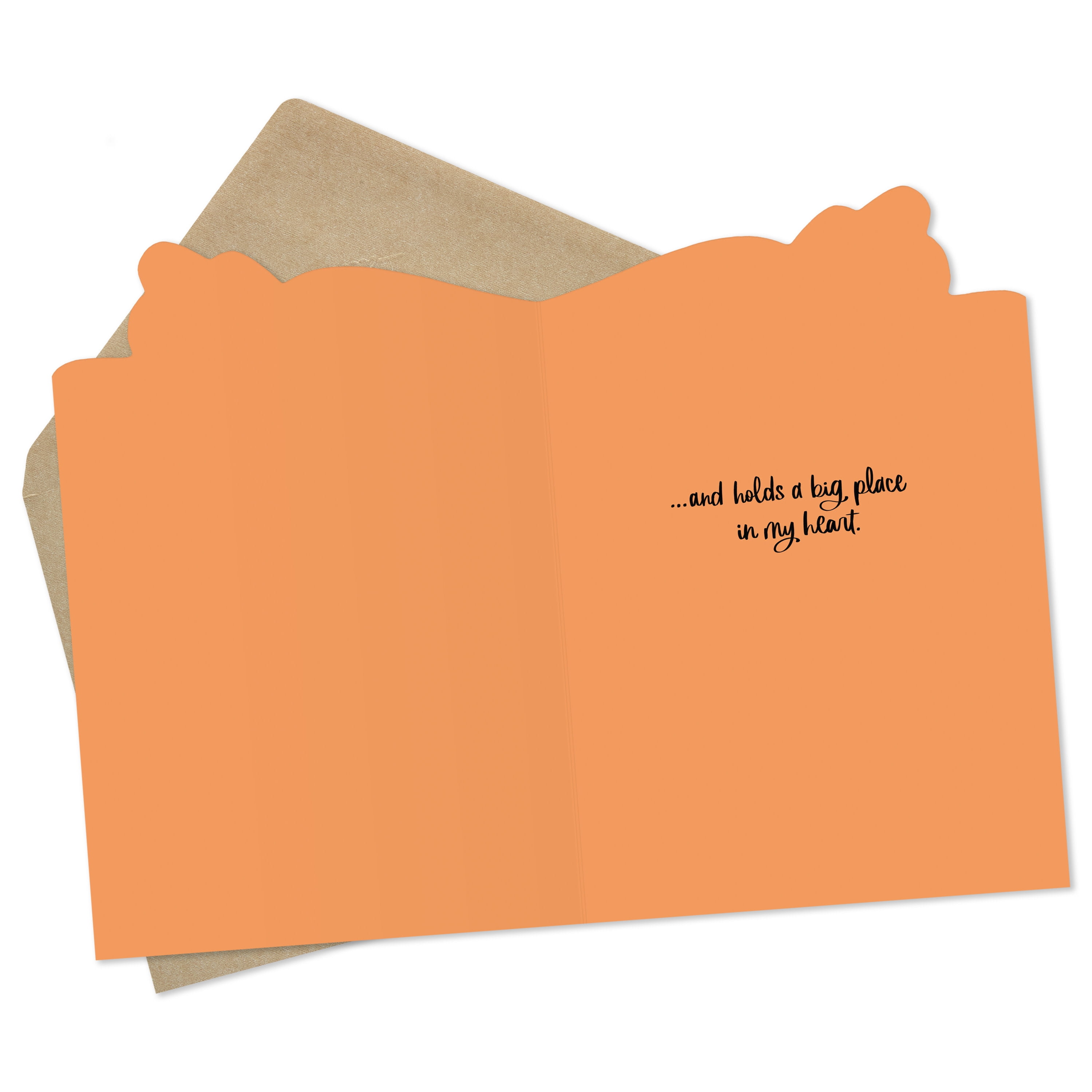 Hallmark Thanksgiving Card for Friend (Big Place in My Heart), 1 Count
