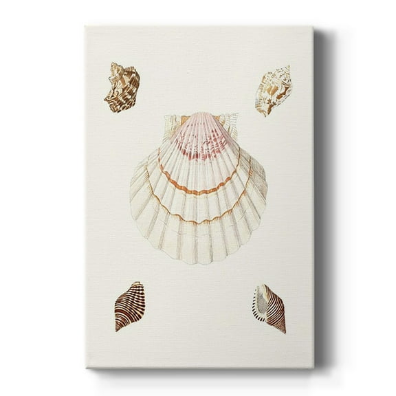 Pastel Knorr Shells IV Premium Gallery Wrapped Canvas - Ready to Hang