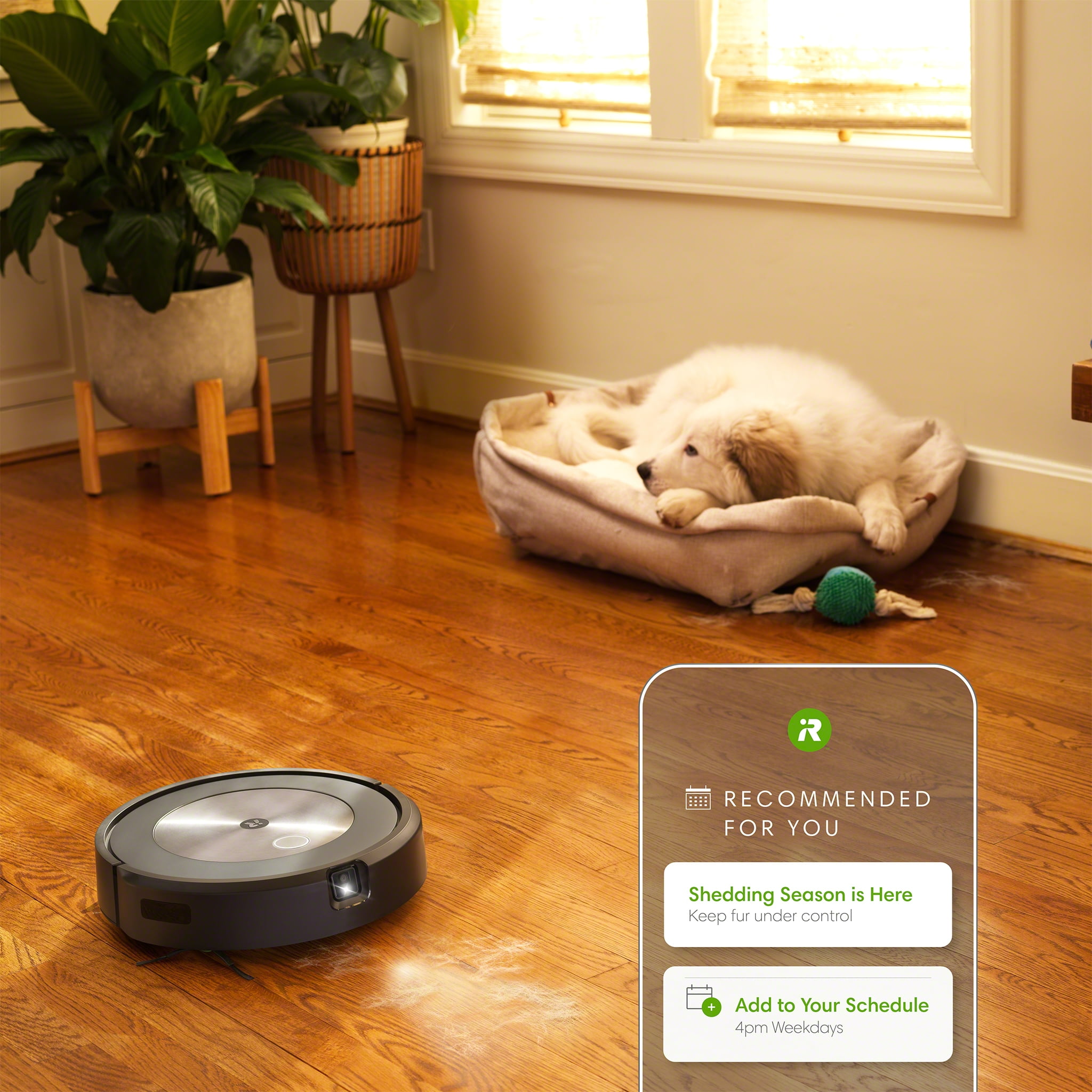 iRobot® Roomba® j7 (7150) Wi-Fi® Connected Robot Vacuum - Identifies and  avoids obstacles like pet waste & cords, Smart Mapping, Works with Google,  