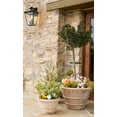 thumbnail image 2 of Z-Lite Talbot 3 Light 18" Clear Glass Steel Outdoor Wall Sconce in Black, 2 of 2