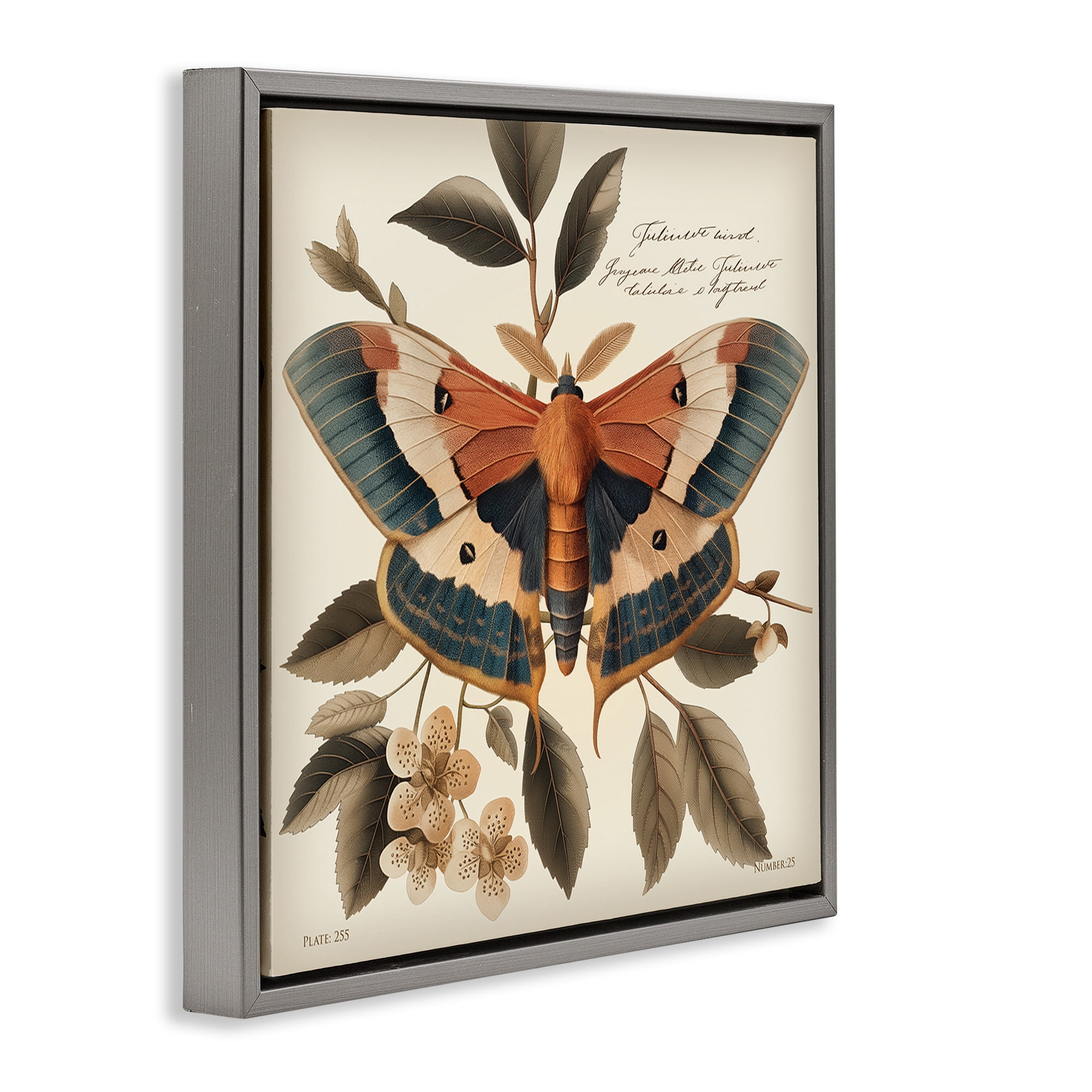 Stupell Industries Enchanting Moth & Plant Animals Painting Gray Floater Framed Canvas Art Print Wall Art, 25 x 25