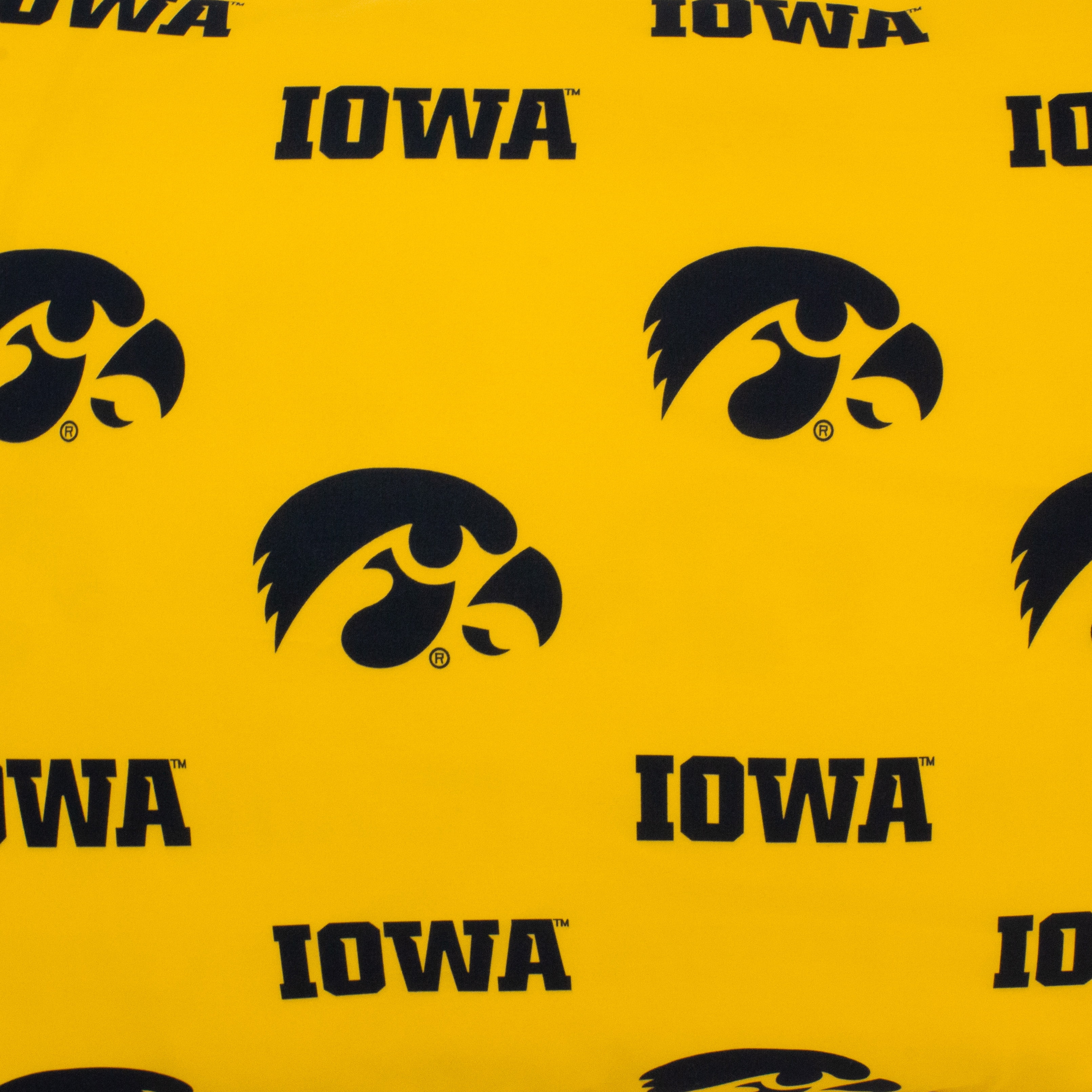 Iowa Hawkeyes Pillowcase Body Pillow - 20" x 60"