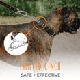 thumbnail image 3 of Mighty Paw Leather Dog Training Collar, Martingale Dog Collar with Stainless Steel Chain, Large, 3 of 9