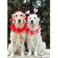 thumbnail image 4 of Midlee Valentine's Day Lips Decorative Dog Collar (Large), 4 of 5