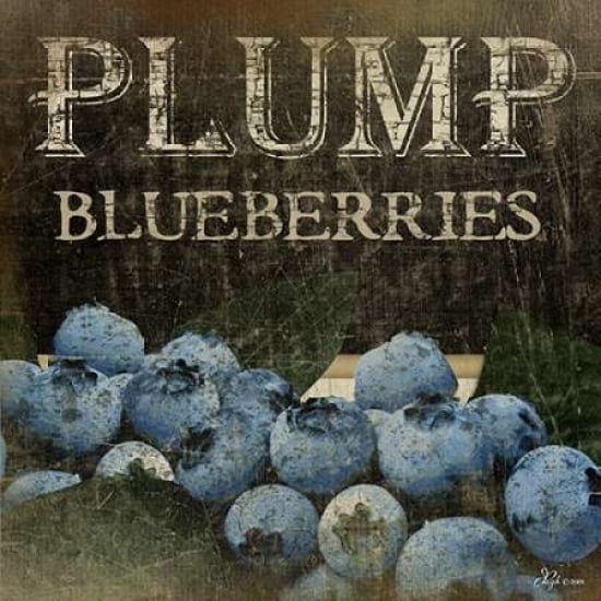 Plump Blueberries C