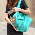 thumbnail image 1 of Pet Carrier, Shoulder Cats &dogs Travel Bag For Nail Clipping Grooming Bag GuanGuan, 1 of 5