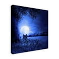thumbnail image 2 of Trademark Fine Art 'Moon Night And Wolf' Canvas Art by Ata Alishahi, 2 of 3