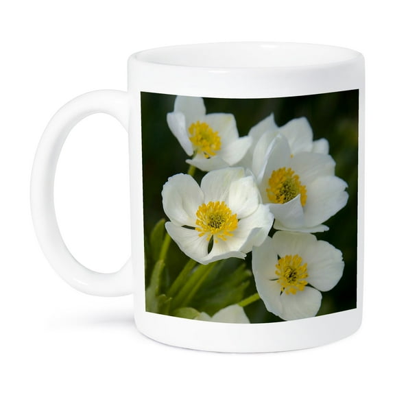 3dRose, Buttercup, Anemone, White alpine flower - NA01 FZU0001 - Frank Zurey, 15oz Mug