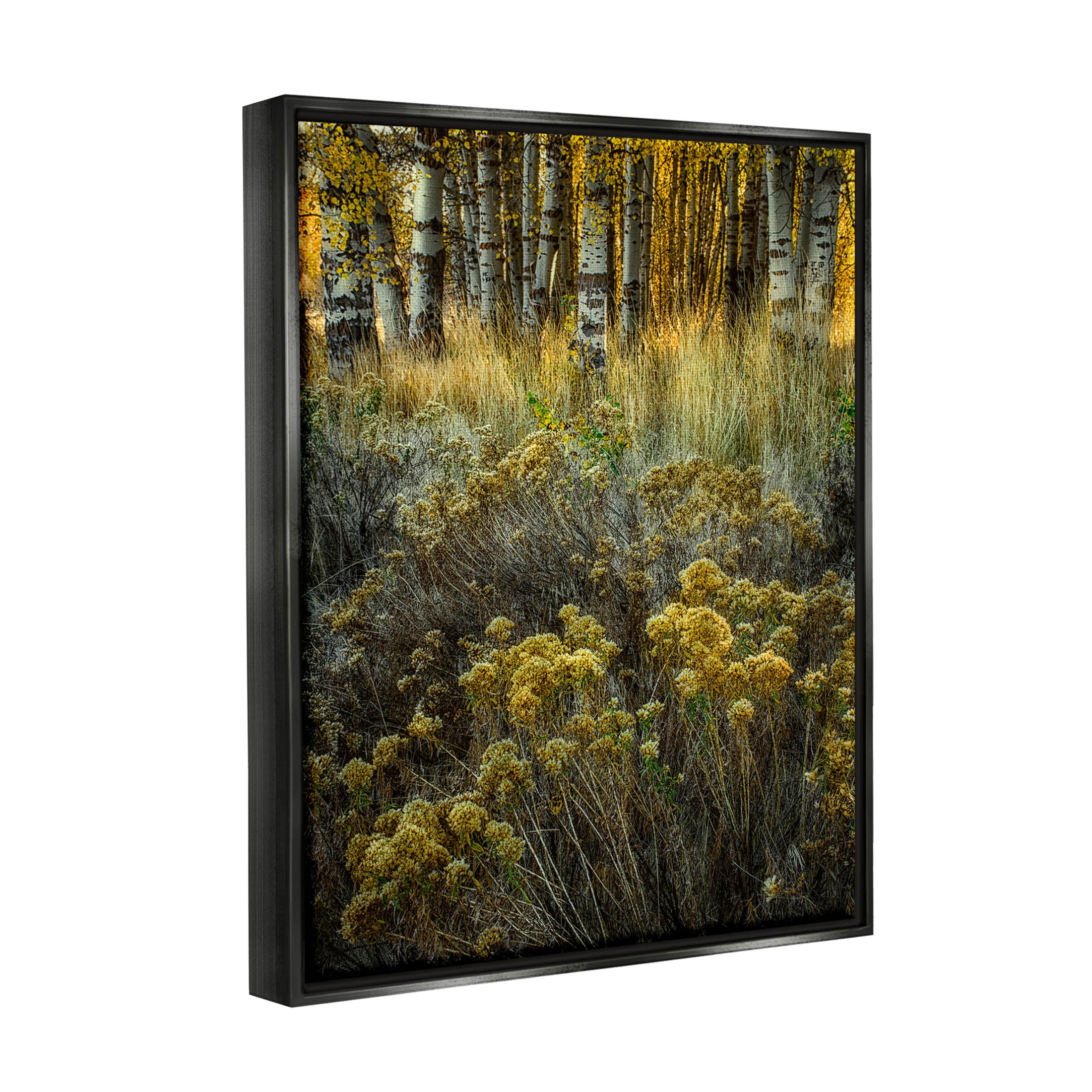 Stupell Industries Woodland Wildlife Plants Yellow Blossoms Photograph Jet Black Floating Framed Canvas Print Wall Art, Design by David Lorenz