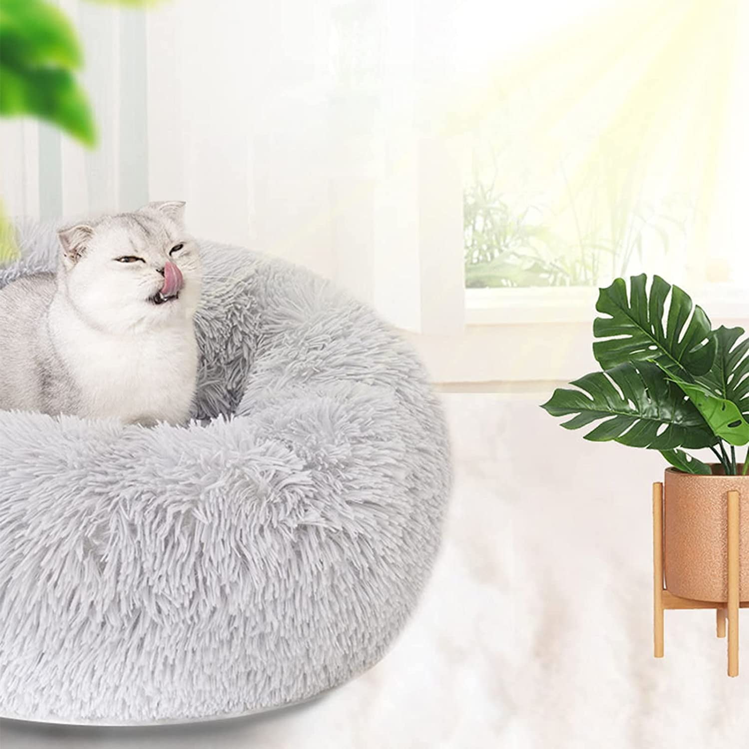 Charlore Dog Bed & Cat Bed, Anti-Anxiety Puppy Bed Warming Cozy Round Soft Pet Bed, Machine Washable Calming Donut Bed