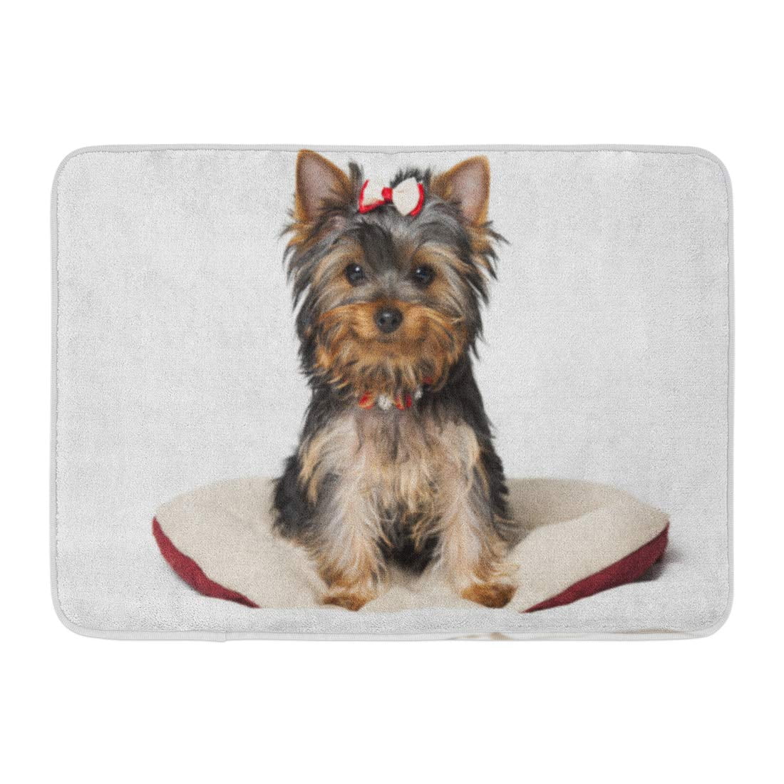 GODPOK Puppy Brown Pet Yorkshire Terrier Play The Game with Fluffy She