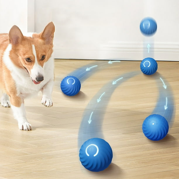 Price Drop Smart Interactive Dog Toy LED Light Bouncing Ball Active Rolling Ball for Dog Puppy Small Medium Dogs And Cats USB Rechargeable With A Replacement Rwvbm Walmart
