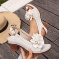thumbnail image 2 of Womens Sandals Chunky Heel Open Toe Adjustable Ankle Strap Women's Casual Versatile Comfortable Beach Sandals, 2 of 10
