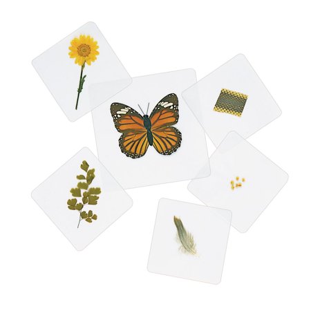 Excellerations Laminated Specimen Set 28 Pieces price history on PriceWatchPro