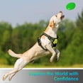 thumbnail image 4 of Dog Harness Harness for Small and Medium Dogs Anti Pull Chest Harness No Pull Safety Harness Auto Dog Harness Labrador Puppy Harness Jogging Escape Proof Soft Padded (Green,M), 4 of 5