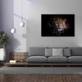 thumbnail image 4 of Epic Graffiti 'Sleepy Leopard' by Epic Portfolio Giclee Canvas Wall Art, 60"x40", 4 of 8