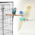 thumbnail image 3 of Halinfer Support pour Oiseaux avec Boules Rotatives, Petit Jouet pour Perruche, Perroquets, Cockatiels, Perruches, Perroquets, Inséparables, Cols Ronds, Coniques, 3 of 7