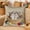 C, variant on Euaioeiu Cute Animal Pillow Cover Fluffy Embroidery Decorative Throw Pillow Case Soft Accent Cushion Cover for Living Room Sofa Bedroom Decor Festival Home Decor