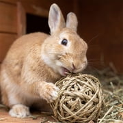 Rabbit Supplies, Rabbit Chew toys, interactive Pet toys, Willow Branches, Orchard Grass Hay, 3 in Wicker Balls, 29 Pc Assorted Pack, Guinea Pig Chew Accessories (170 Chars)