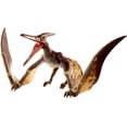 thumbnail image 1 of Jurassic World Toys Colección Ámbar Pteranodon Jurassic World Jurassic World Toys, 1 of 2