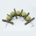 thumbnail image 2 of Enqiretly 2pcs/set Small Pets Toy Balls For Rabbit Hamster Toy Practical And Playful Gift Gifts For Friends 1 piece 1Set, 2 of 6
