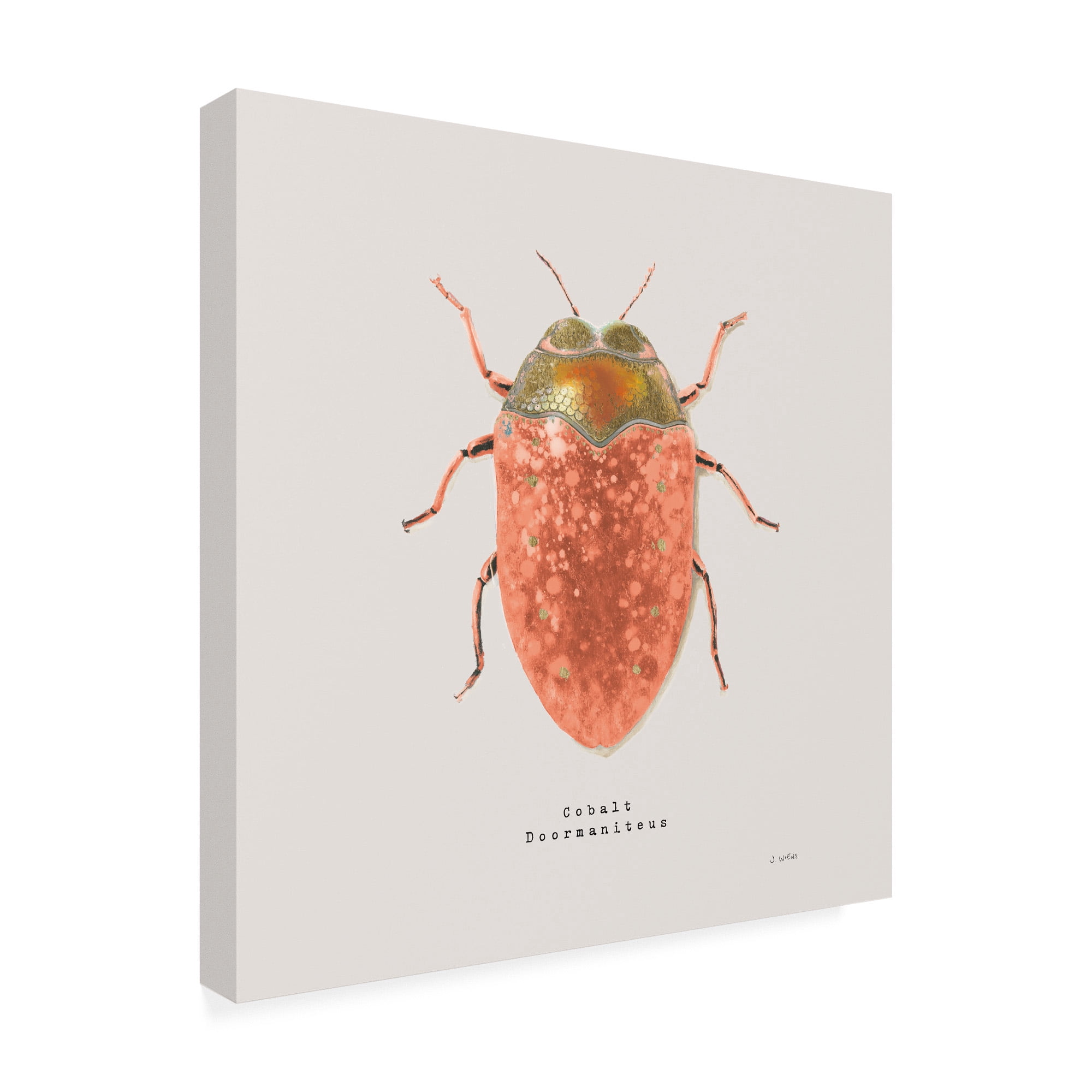 Trademark Fine Art 'Adorning Coleoptera V Sq Camelia' Canvas Art by James Wiens