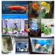 thumbnail image 2 of Mini Bomba De Aire Portátil Usb Para Acuario, Tanque De Peces, Bomba De Aire Silenciosa De Oxígeno, Bomba De Oxígeno De Baja Potencia Para Pesca De Excursión Kearding OD016219-01, 2 of 6