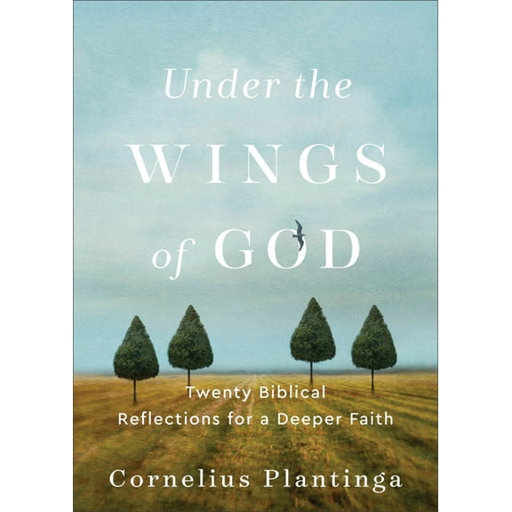 Under the Wings of God: Twenty Biblical Reflections for a Deeper Faith, (Paperback)