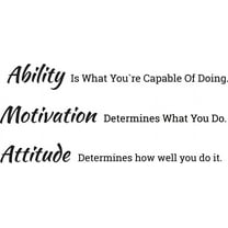 Wall Decal Quote Determine Motivation Attitude Vinyl Decor Black 28.5 in x 12 in