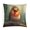 Pattern-1, variant on Pillowcases Illustration Of A Robin Bird Outdoor Square Pillow Cushion Cases 16"x16" Modern Decorative Pillow Covers for Couch Sofa Bedroom Car Watercolor Birds Animal Throw Pillows for Bed