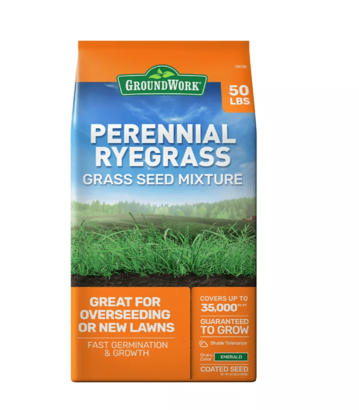 Zenith Zoysia Garden Plant Lawn Grass Seed - 2 Lbs. - Walmart.com