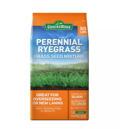 GroundWork 50 lb. 35,000 sq. ft. Coated Perennial Ryegrass Grass Seed
