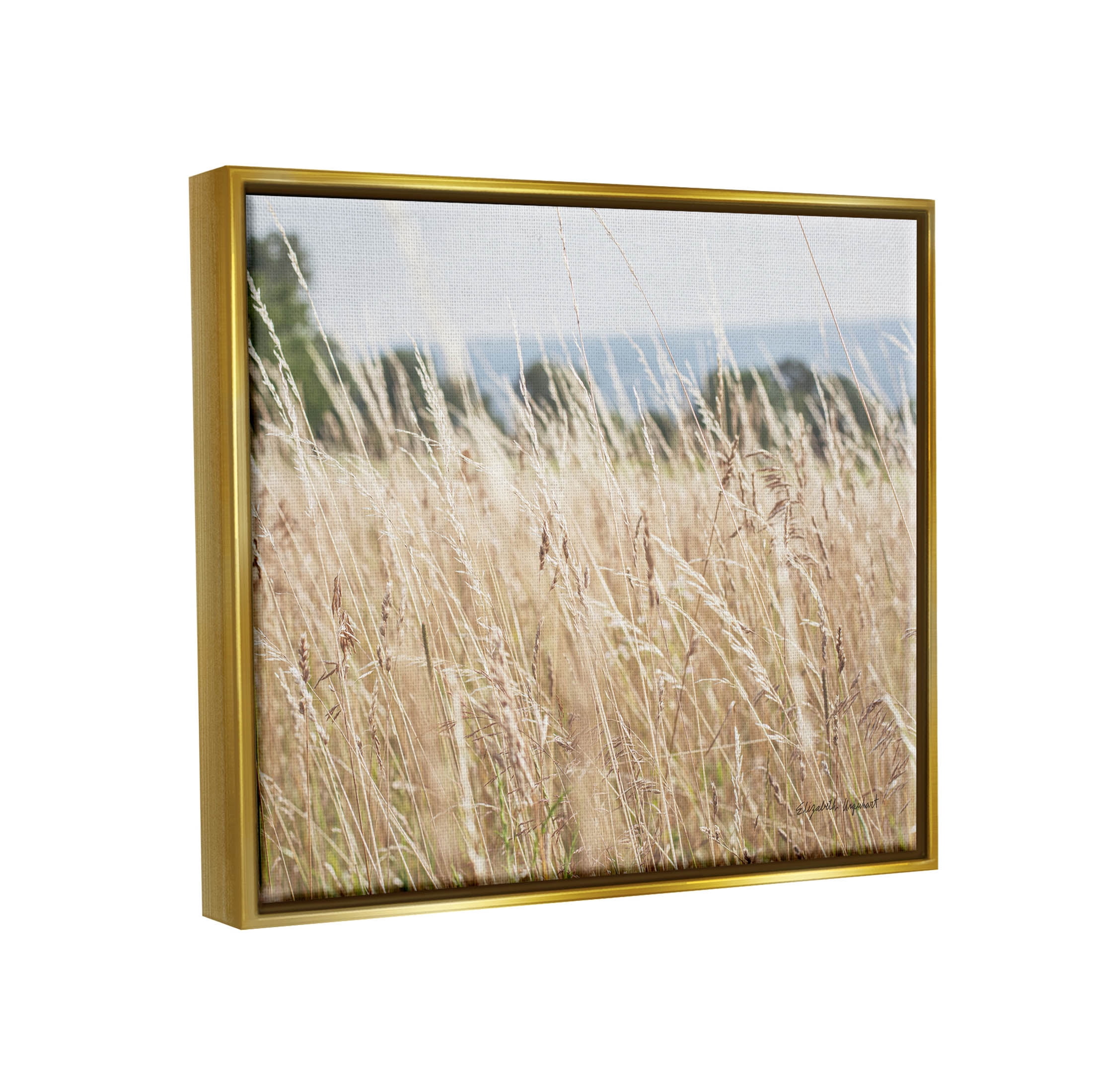 Stupell Industries Rural Wheat Field Spring Breeze Photograph Metallic Gold Floating Framed Canvas Print Wall Art, Design by Elizabeth Urquhart