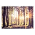 thumbnail image 2 of Tiptophomedecor Peel and Stick Forest Wallpaper Wall Mural - Forest Afternoon - Removable Wall Decals, 2 of 3