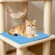 thumbnail image 4 of Alfombrilla refrescante para perros y gatos, lavable, con base antideslizante, almohadilla de hielo portátil para aliviar el calor, múltiples tamaños, uso en interiores y exteriores., 4 of 6