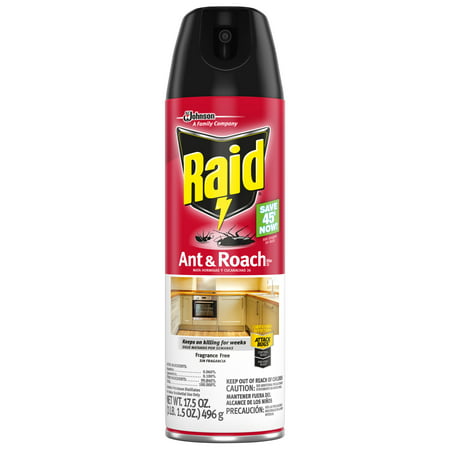 Raid Ant & Roach Killer 26, Fragrance Free, 17.5 (Best Perimeter Spray For Ants)