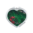 thumbnail image 1 of Red Fruit Forestry Science Nature Scenery Mirror Travel Magnification Portable Handheld Pocket Makeup, 1 of 3
