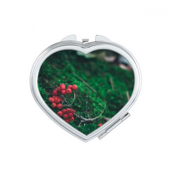 Red Fruit Forestry Science Nature Scenery Mirror Travel Magnification Portable Handheld Pocket Makeup