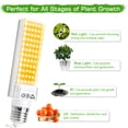 thumbnail image 3 of Bienvenido LED Grow Light bulb, 3 of 8