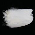 thumbnail image 1 of Plumas naturales Colcomx 50 para manualidades fiestas de cumpleaños bodas Navidad blanco, 1 of 4