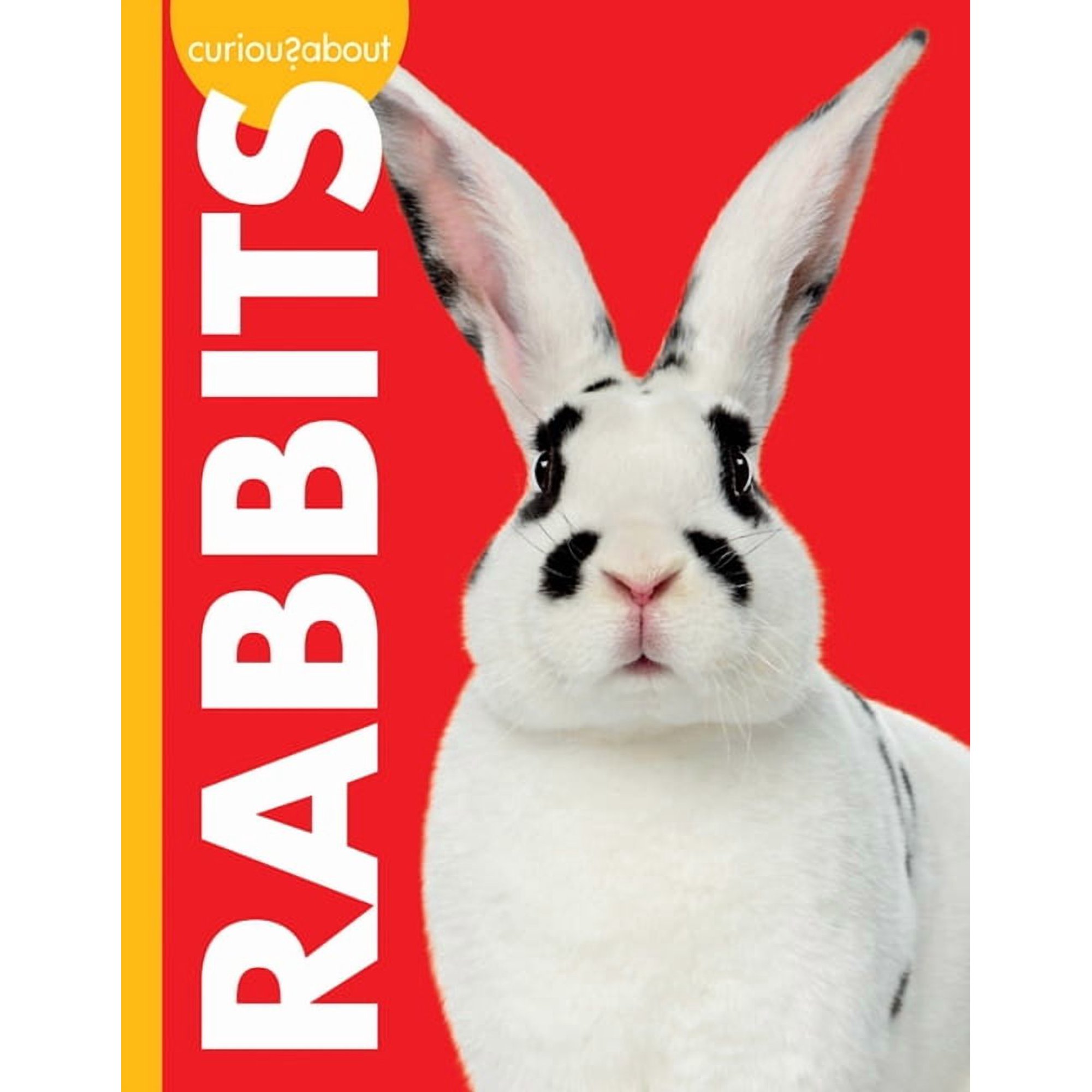 Curious about Pets Curious about Rabbits (Hardcover)