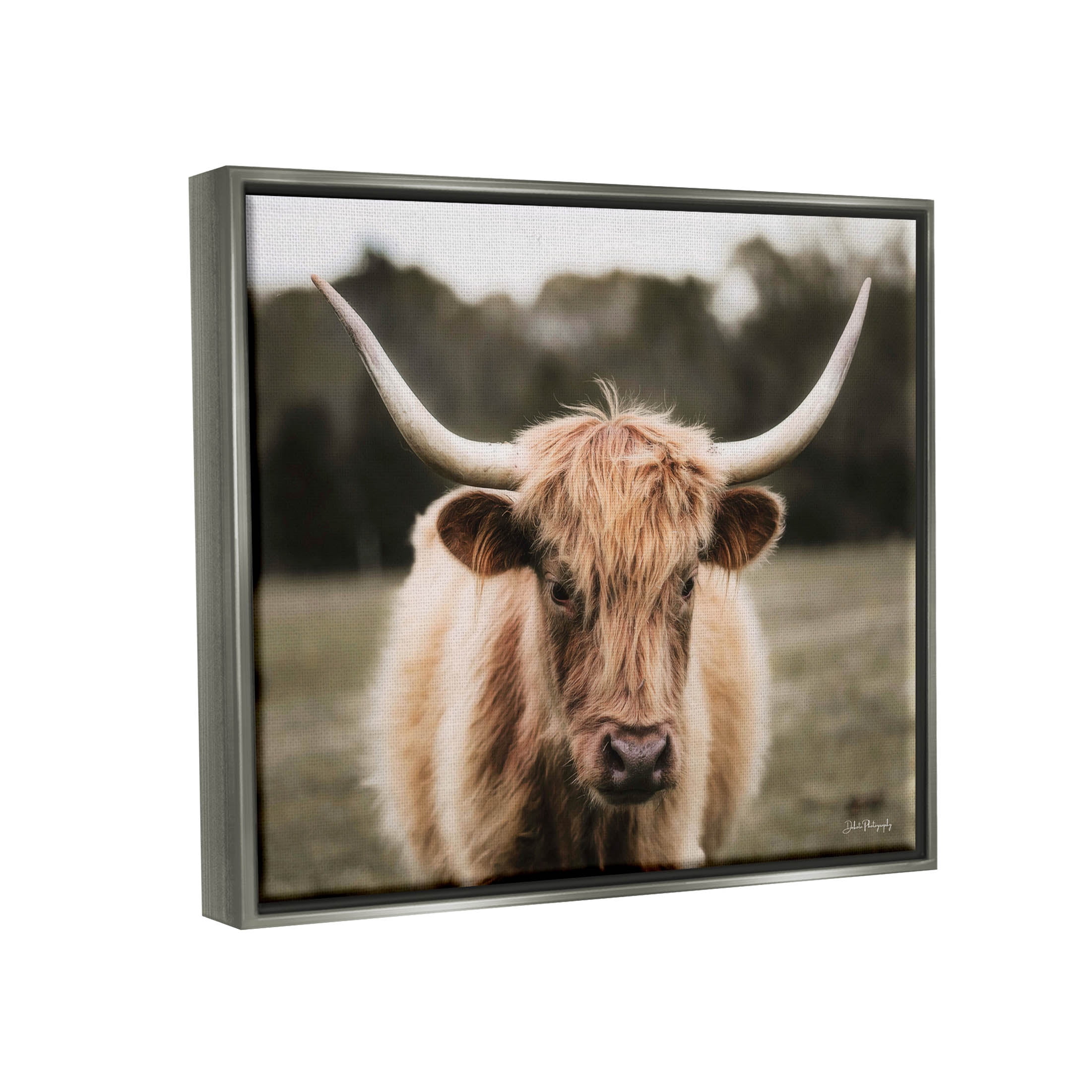 Stupell Industries Peaceful Cattle Rural Open Farmland Photograph Luster Gray Floating Framed Canvas Print Wall Art, Design by Dakota Diener