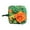 Orange, variant on Pet Sniffing Foraging Mat Enrichment Activity Toy for Small Animals Rabbits and Pigs Mental Stimulation Puzzle Game