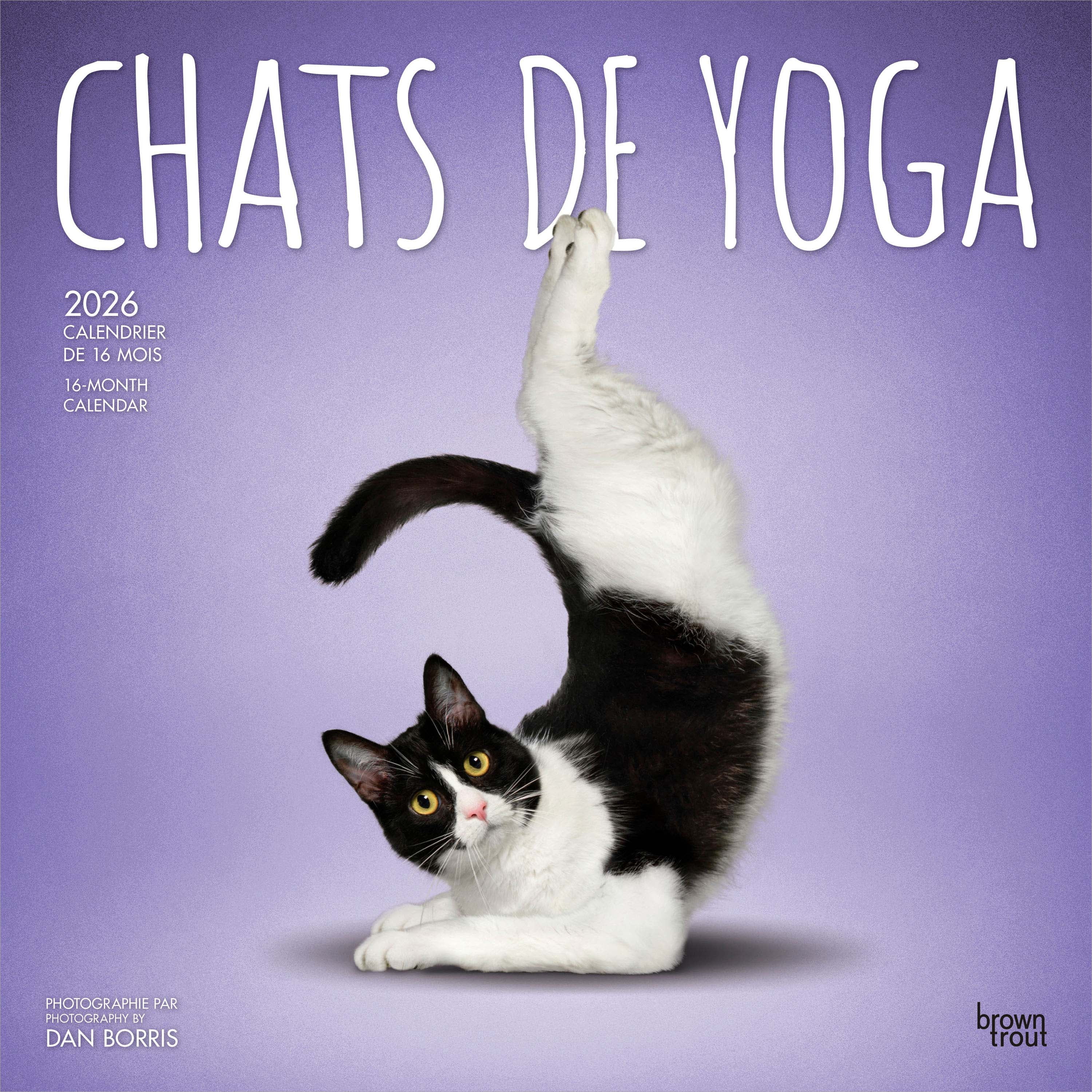 Chats de Yoga 2026 Square FRENCH BTCA
