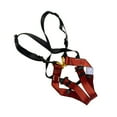 thumbnail image 1 of Equipo de cinturón de protección contra caídas - Niños Arnés de seguridad de CUERPO COMPLETO para niños, 1 of 8