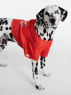 Hot Dog Summer By Megan Thee Stallion Thee Hot Dog Summer T-shirt for Dogs, Pink, Medium